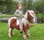 eigenes Pony für jedes Kind